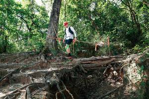 BIB: 
                            <button type="button" onclick="openModal(27799901)" class="btn btn-primary btn-sm float-right btn-popup" data-toggle="modal" data-target=".modal-high-quality">
                        <i class="fas fa-shopping-cart"></i> Add to Cart
                    </button>
                                            <button type="button" onclick="isThisMe(27799901, true)" class="btn btn-success btn-sm float-right btn-popup btn-isme hidden" data-toggle="tooltip" data-placement="bottom" title="นี่คือรูปของคุณใช่ไหม คลิกที่นี่เพื่อเอาเข้าอัลบั้ม">
                        <i class="fas fa-plus"></i> Add to album
                    </button>
                    <button type="button" onclick="isThisMe(27799901, false)" class="btn btn-warning btn-sm float-right btn-popup btn-isnotme hidden">
                        <i class="fas fa-ban"></i> Remove from album
                    </button>